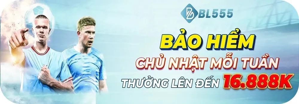bl55 hoàn trả